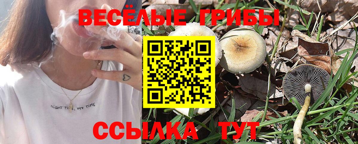 Псилоцибиновые грибы мицелий Ейск
